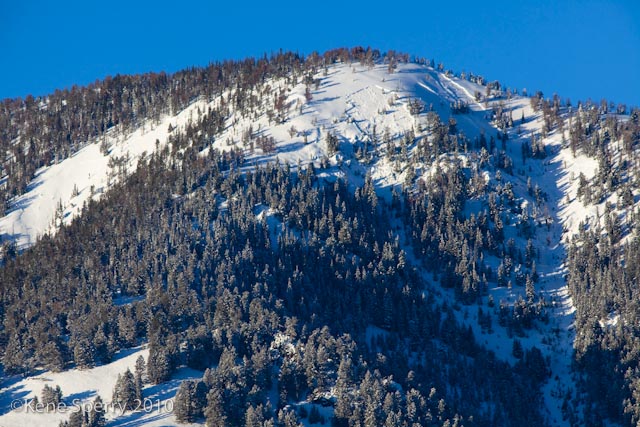 Yellow Mountain Avalanche Yellow Mountain Avalanche
