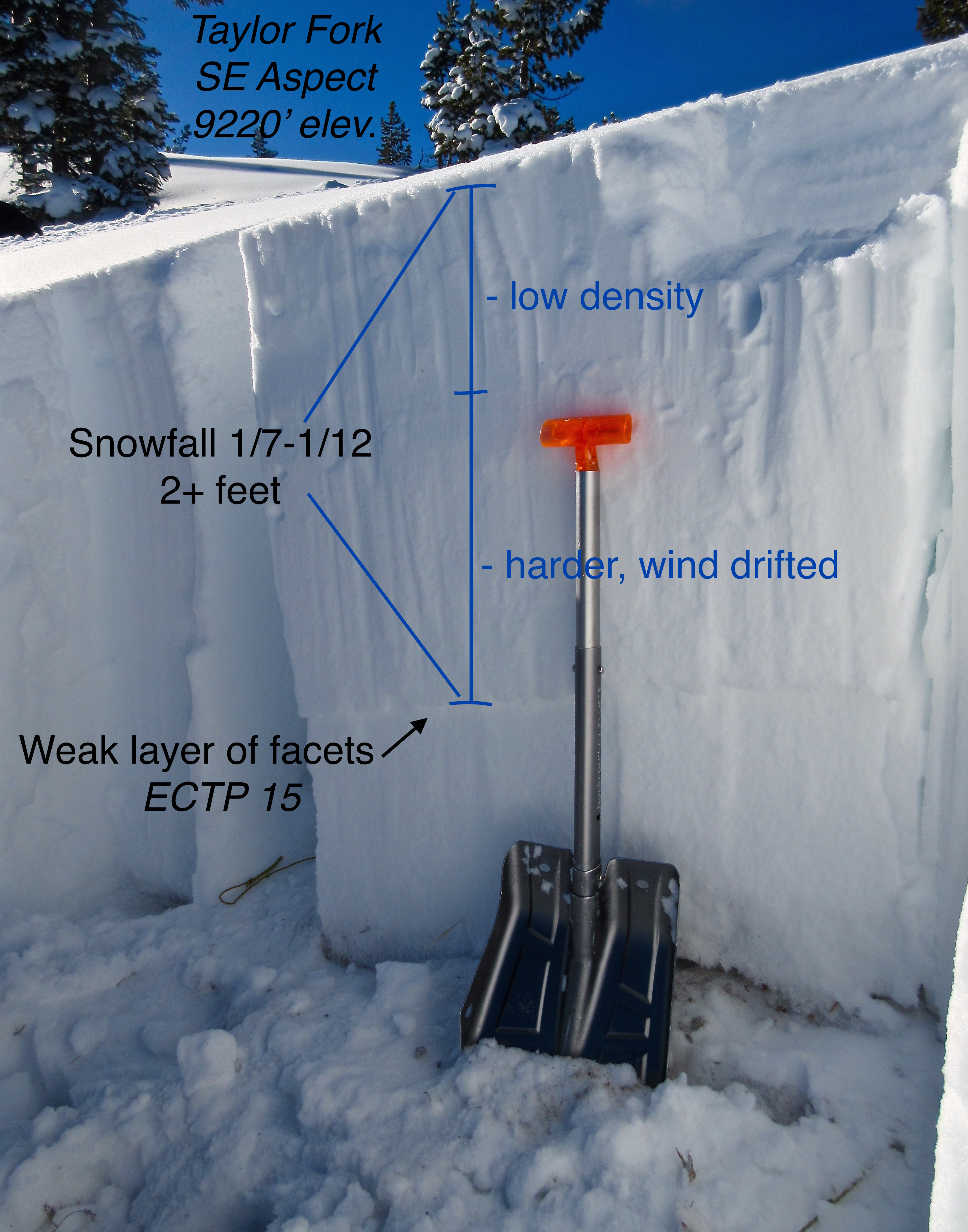 Taylor Fork Snowpit - Jan 13 2017 Taylor Fork Snowpit - Jan 13 2017