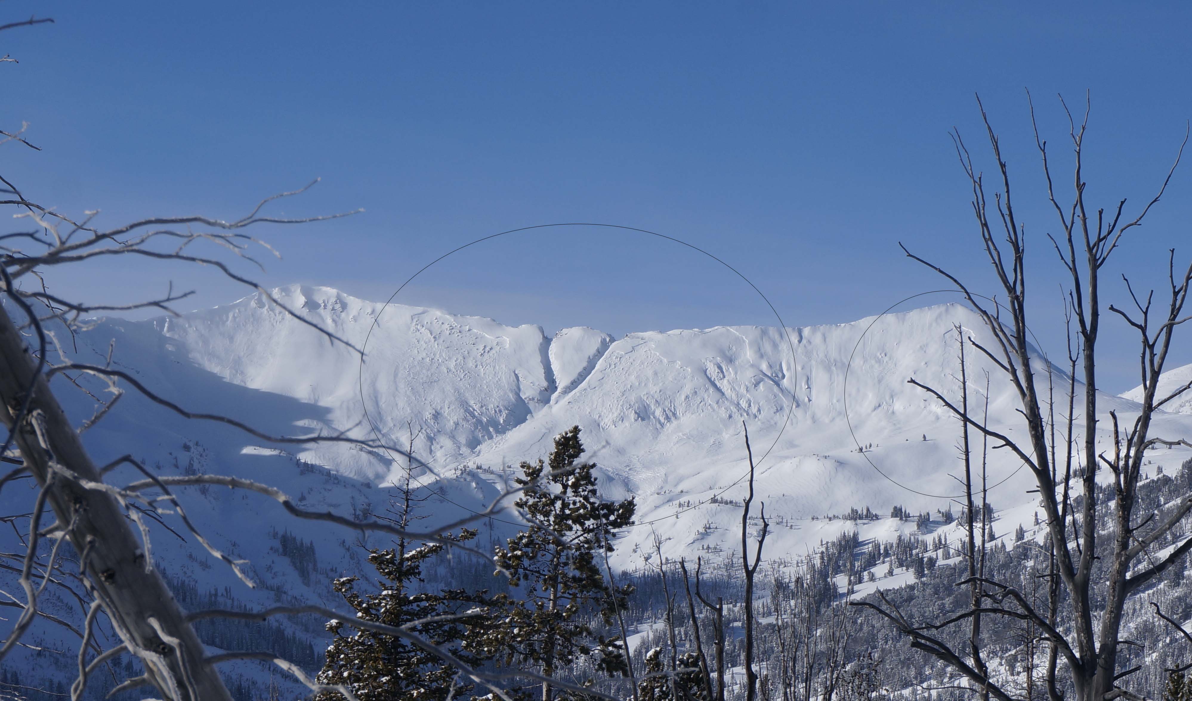 Avalanches in Sheep Cr. near Cooke 2 Avalanches in Sheep Cr. near Cooke 2