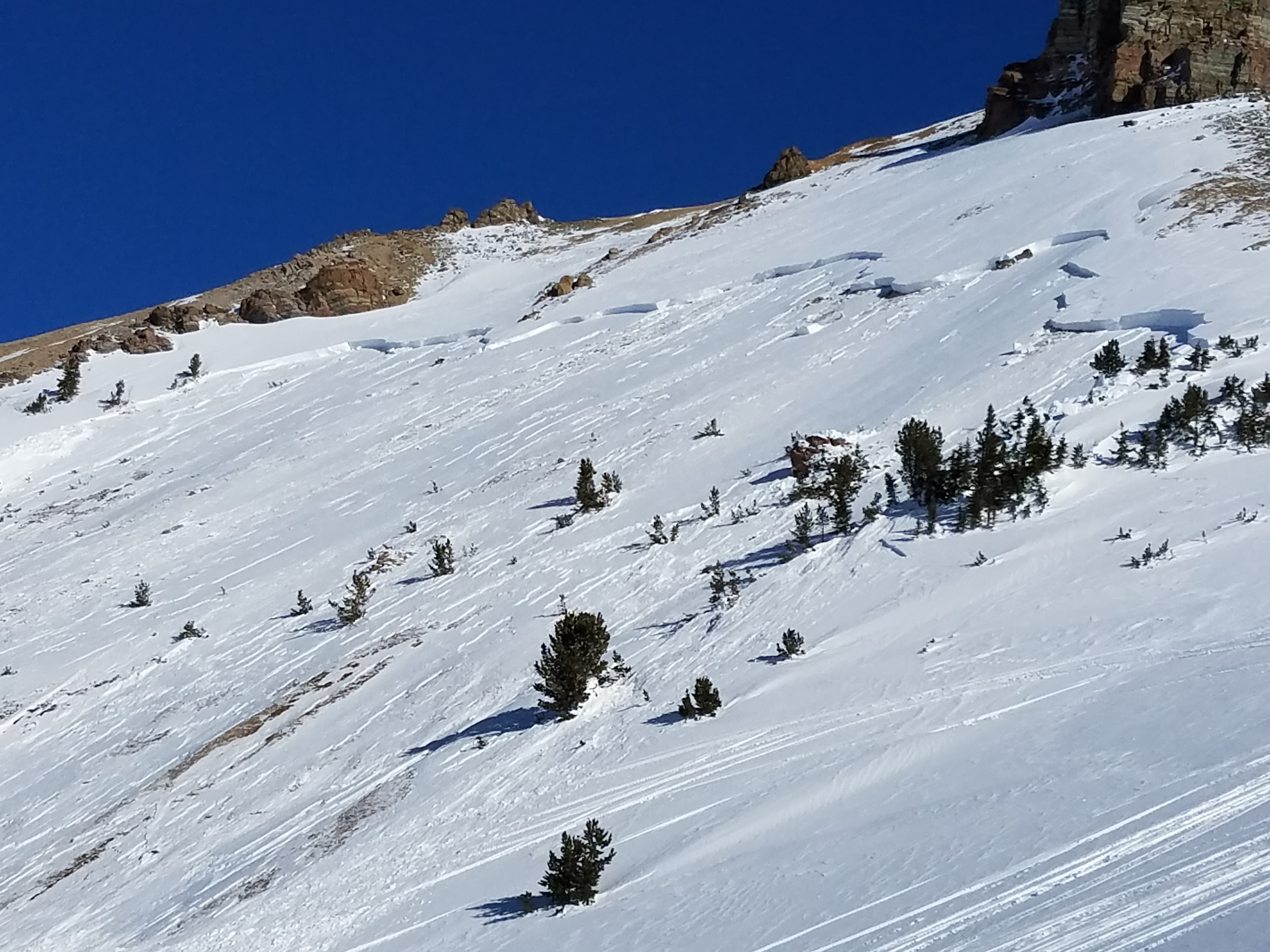 Daisy Pass Crown Daisy Pass Crown