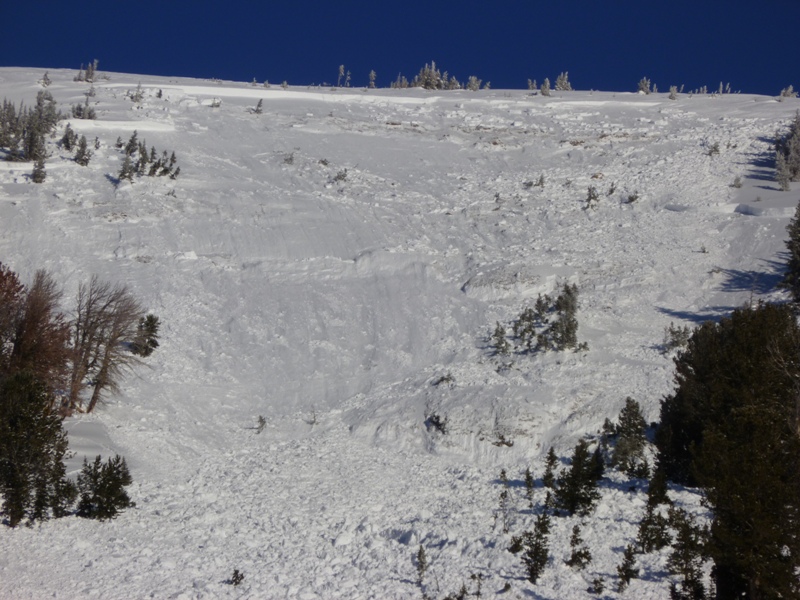 Cooke City Avalanche Cooke City Avalanche