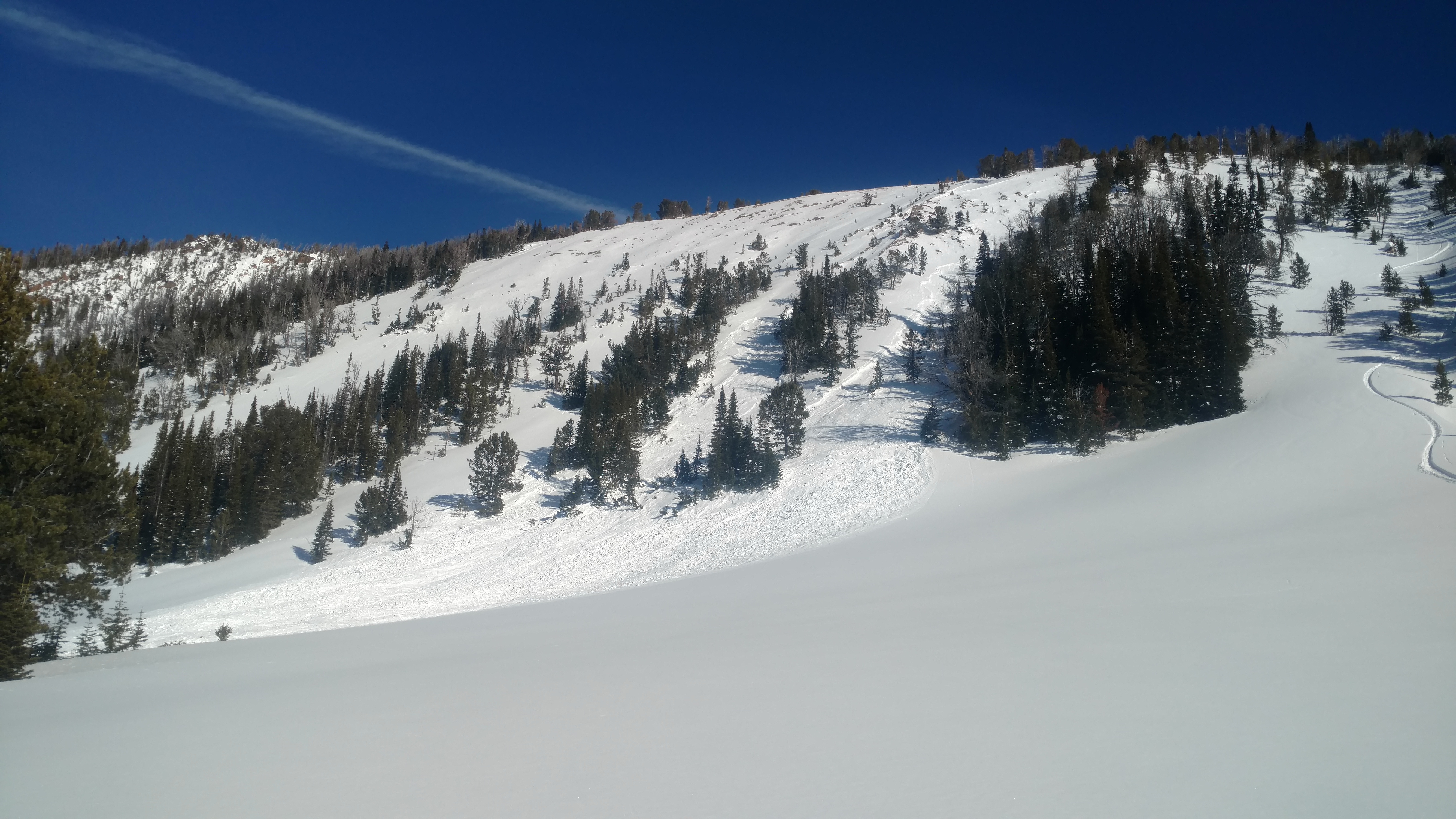 Avalanche in Beehive 3 - Jan 15 Avalanche in Beehive 3 - Jan 15
