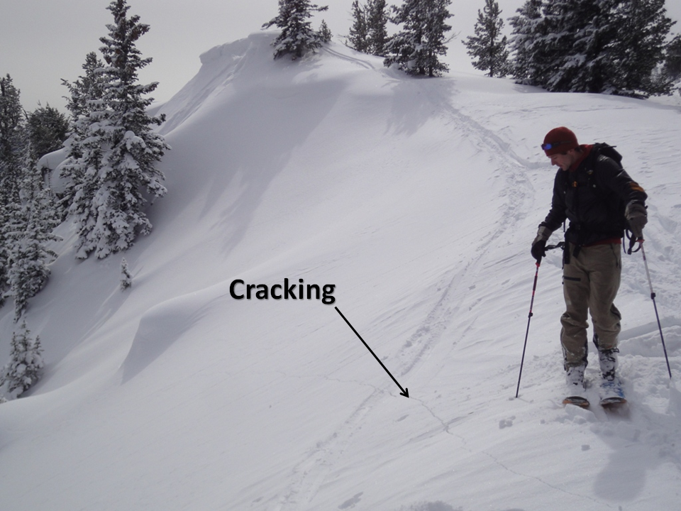 Cracking and Collapsing Cracking and Collapsing