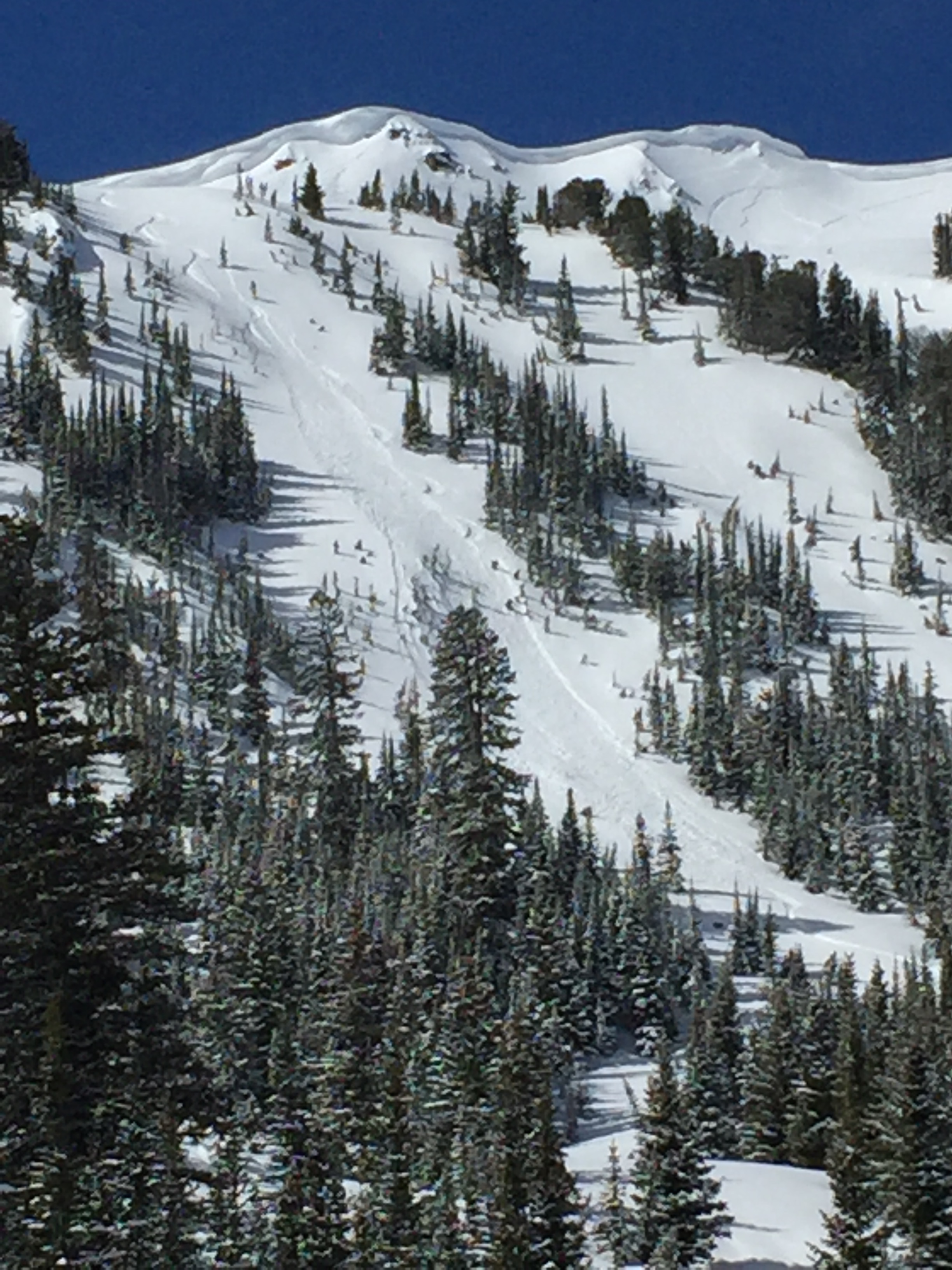 Skier triggered avalanche - Cooke City Skier triggered avalanche - Cooke City
