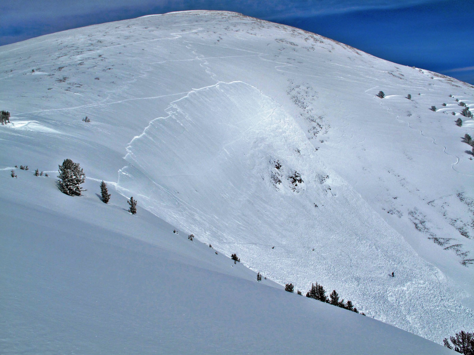 Human Triggered Avalanche, Wyoming Bowl Human Triggered Avalanche, Wyoming Bowl