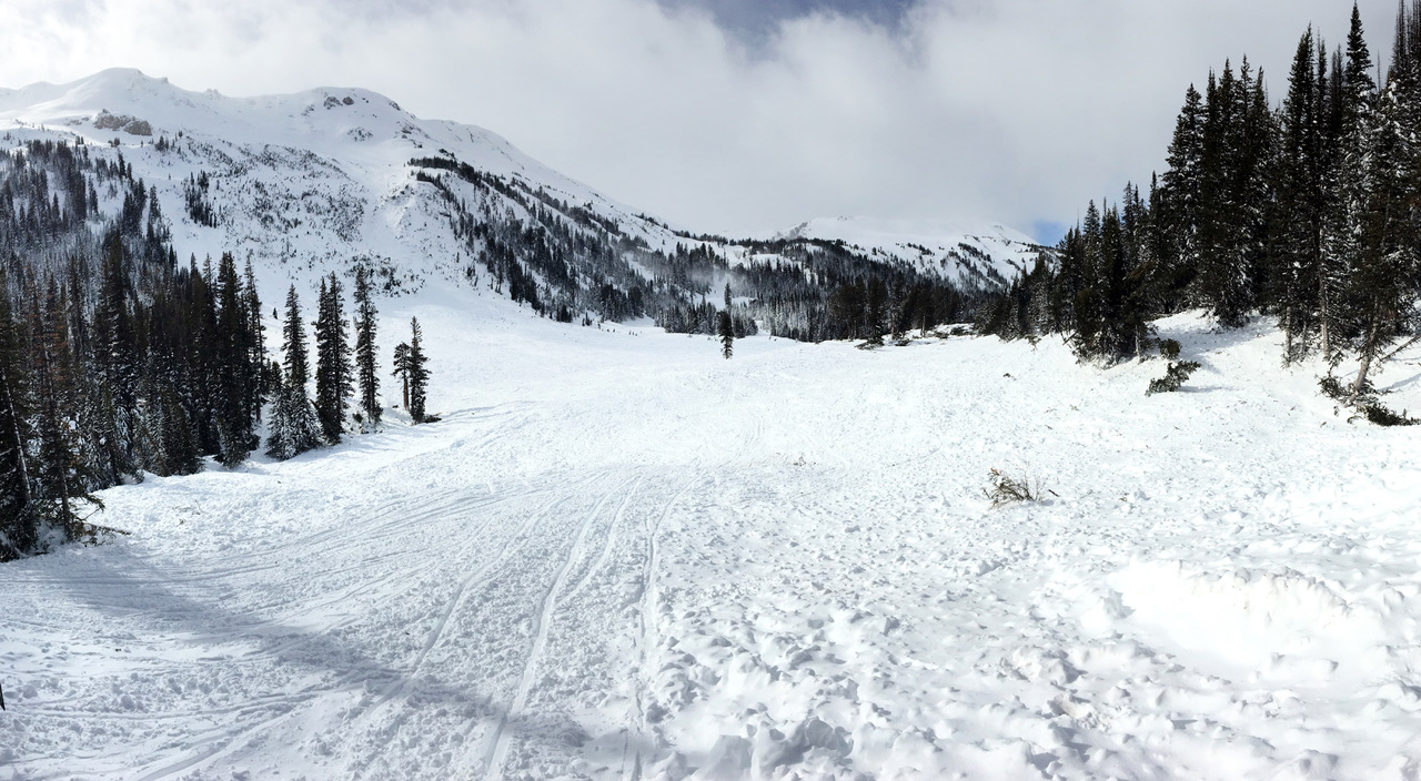 Historic Avalanche on Henderson Mtn. over Lulu pass road Historic Avalanche on Henderson Mtn. over Lulu pass road