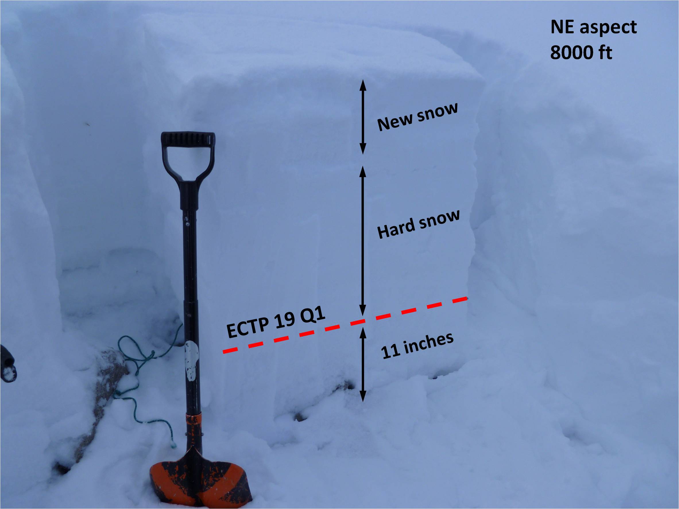 Nothern Bridgers Snowpit Nothern Bridgers Snowpit