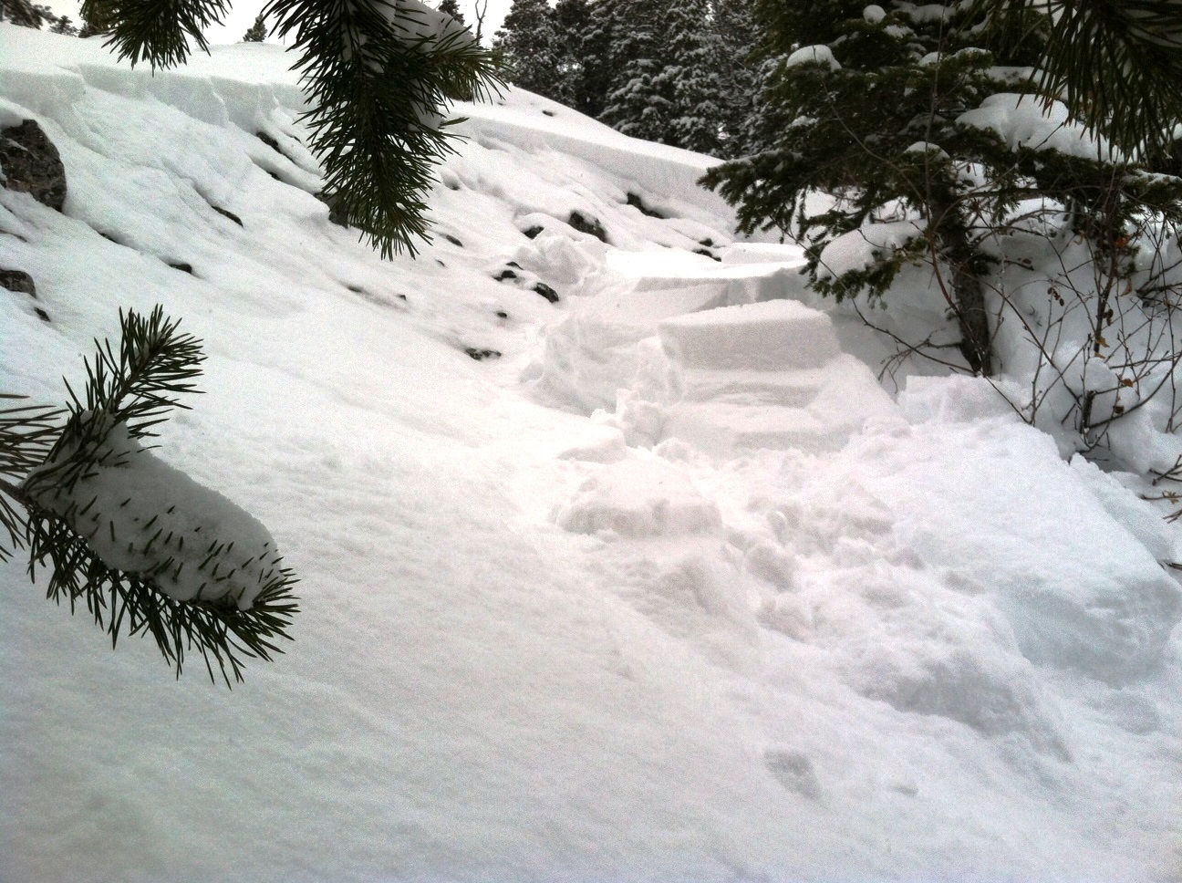 The Fat One Avalanche The Fat One Avalanche