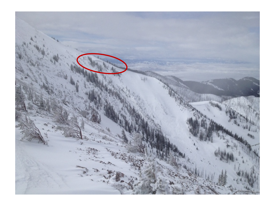 Y Coulior Natural Avalanche Y Coulior Natural Avalanche