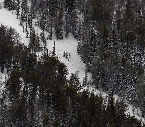 Republic Creek Natural Avalanche Republic Creek Natural Avalanche