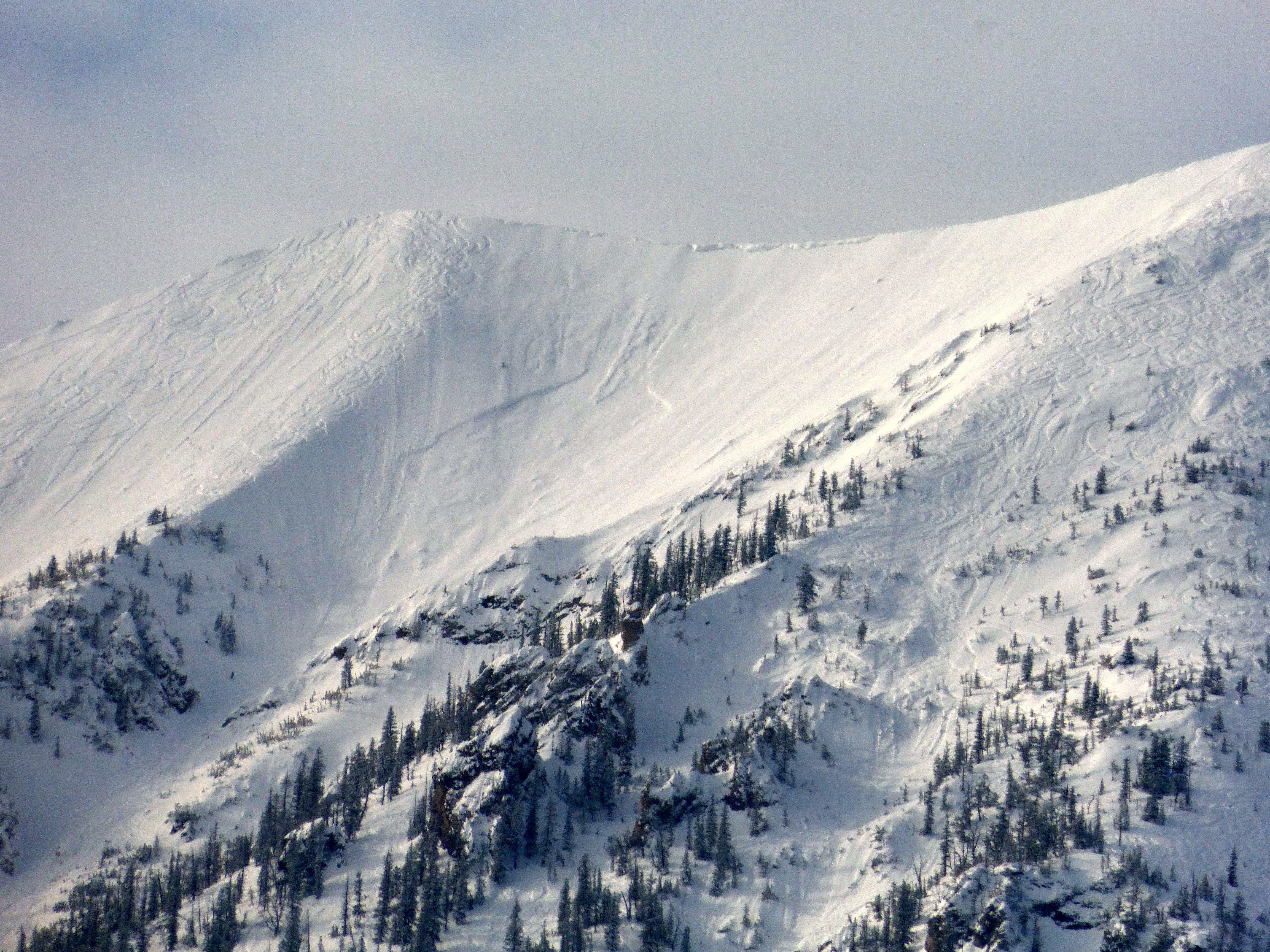 Avalanche on Saddle Peak Avalanche on Saddle Peak
