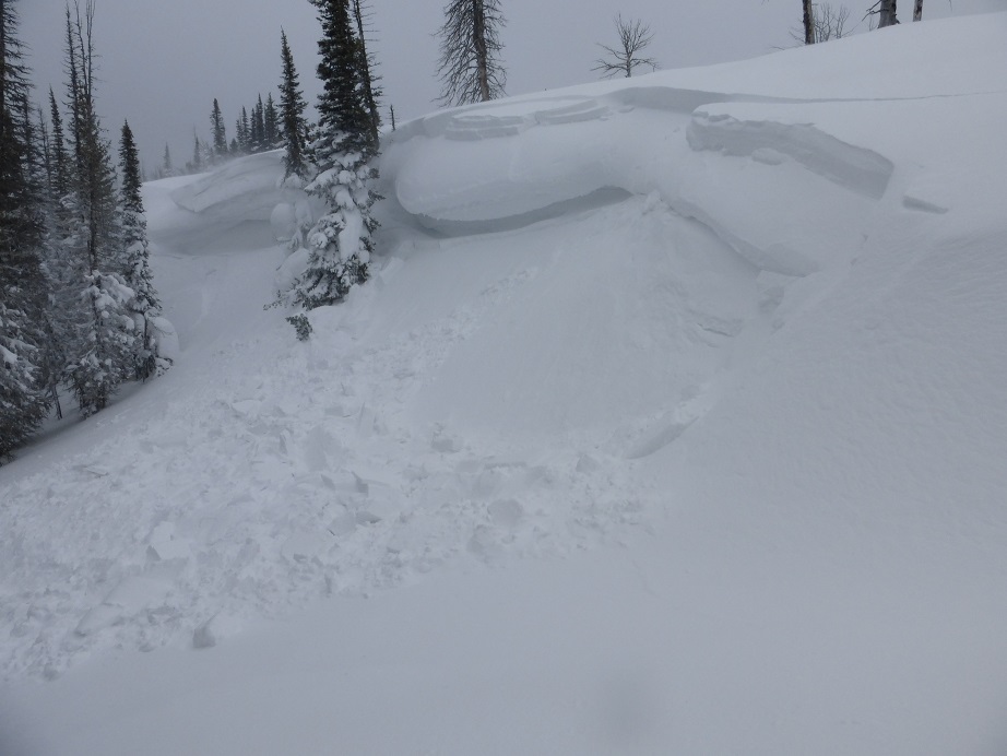Human triggered wind slab - Taylor Fork Human triggered wind slab - Taylor Fork